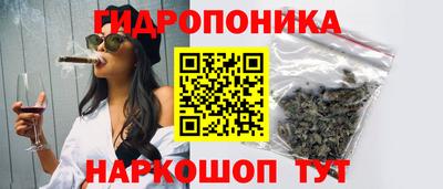spice Гудермес