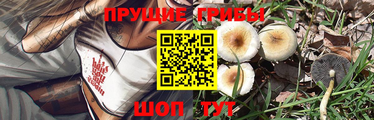 Псилоцибиновые грибы прущие грибы Муравленко