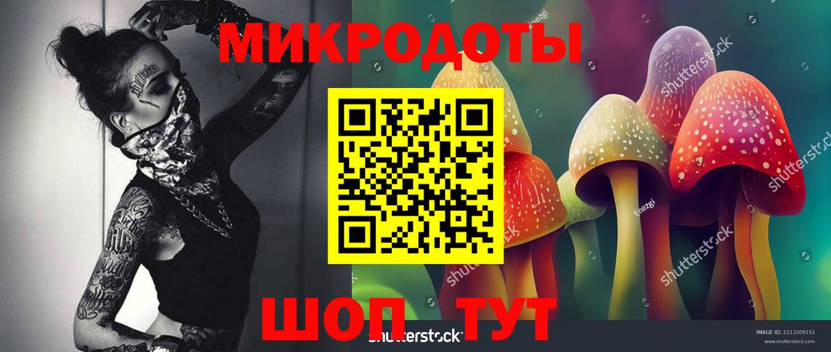 Муравленко  Псилоцибиновые грибы мухоморы  Вход с VPN 